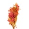 Second Nature Woodsy Oak Leaves Fall Decor 6290 - alternate 3