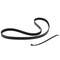 Motorcraft Serpentine Belt,  JK4364A - alternate 2