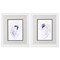 Homeroots Set Of Two Oyster Shell White Framed Print Wall Art, 2PK 521532 - alternate 3