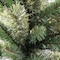 Celebrations 4 ft. Full LED 50 ct Mixed Pine Potted Color Changing Christmas Tree 24-01013A - alternate 6