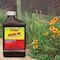 Hi-Yield Killzall 365 Vegetation Control Concentrate 32 oz 32170 - alternate 6