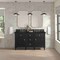 James Martin Vanities Lorelai 60" Double Vanity, Black Onyx, w/ 3 CM Phantome Eclos Top 424-V60D-BKO-3PHT - alternate 7