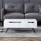 Homeroots 48" White and Black Wood and Steel Lift Top Coffee Table With Drawer 572285 - alternate 1