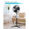 Black & Decker 16-Inch Pedestal Fan, Standing Fan with 3 Speed Settings, Black BFP16MXB - alternate 6