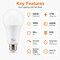 Euri Lighting A21 LED Bulb, 17W, 1600 lm, 100W Eq., 5000K, E26, Dimmable, CEC, UL EA21-17W5050cec - alternate 6