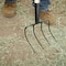 Corona Tools Manure Fork, 4 Tine, 54" Ash Wood Handle FK 72004 - alternate 2