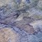Homeroots 5' X 8' Navy Blue And Beige Abstract Washable Indoor Outdoor Area Rug 581756 - alternate 5