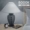 Luxrite A19 LED Light Bulb 60 Watt Equivalent, Non-Dimmable, 5000K Bright White, 800LM, Standard, 16PK LR21534 - alternate 6