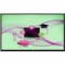 Philips E-Line 75BDL4152E Collaboration Display 75BDL4152E/00 - alternate 1