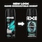 Axe Apollo Sage and Cedarwood Deodorant Body Spray, 4 Ounce, 12PK 68921147 - alternate 9