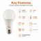 Euri Lighting A21 LED Bulb, 17W, 1600 lm, 100W Eq., 2700K, E26, Dimmable, CEC/JA8, UL EA21-5023cec - alternate 6