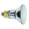 Ilc Replacement Halogen Bulb, 39W ECO (Replaces 50W Standard Halogen), 130V BULBRITE H39PAR20SP3/ECO - alternate 2