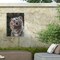 Trademark Fine Art Outdoor Canvas Art - David Stribbling 'white tiger cub portrait' Wall Art for Patios, or Gardens GRL01600-OC2432WR - alternate 7