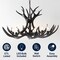 Jonathan Y Eldora 33" 6-Light Rustic Farmhouse Adjustable Resin Antler LED Chandelier, Black JYL6318C - alternate 9