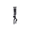 Fcs Struts Suspension Strut And Coil Spring Assembly 1355075L - alternate 4