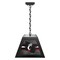 Holland Bar Stool University of Cincinnati Pendant Box Light BxLM1 - alternate 1