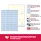 Docugard Standard Security Paper for Printing Prescriptions  Preventing Fraud, 6 Features, Blue, 500PK PRB04541 - alternate 2