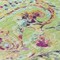 Homeroots 8' Artichoke Green And Pink Round Paisley Washable Indoor Outdoor Area Rug 588590 - alternate 6