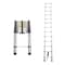 Wrightmaster 12.5 ft. Aluminum Portable Extension Ladder with 300 lb. Load Capacity Type IA Duty Rating for Home ZR-255609 - alternate 1