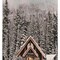 Homeroots 18" X 10" Brown And White Wood Winter Lodge On The Lake Hanging Wall Decor 634753 - alternate 1