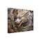 Trademark Fine Art Outdoor Canvas Art Michael David Ward 'White Dragon' Wall Art for Patios, or Gardens GRL01018-OC3547WR - alternate 1