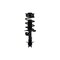 Fcs Struts Suspension Strut And Coil Spring Assembly 1333704R - alternate 1