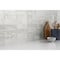 Emser Tile Emser Passion Blanco 3''x8'' Glossy Porcelain Wall Tile, 3.92 Sq. Ft./Case W32PASSBC0308P28 - alternate 1
