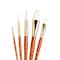 Princeton RealValue Brush Set, White Taklon Bristles, Short Handle Mixed Media Paintbrush, 5-Piece Set, 2PK PR9152 - alternate 3