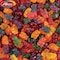 Albanese Worlds Best True to Fruit American Favorite Fruits Gummy Bear ACG53572 - alternate 5