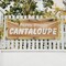 Signmission Farm Fresh Cantaloupe, 18 Inch x 48 Inch, Vinyl Banner B-30584 - alternate 3