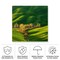 Trademark Fine Art Outdoor Canvas Art Krzysztof Browko 'Spring On Fields...' Wall Art for Patios, or Gardens 1X11669-OC3535WR - alternate 5