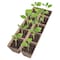 Jiffy 50 Cells 5.5 in. H X 11 in. W X 21 in. L Seed Starting Kit TS50HST-8 - alternate 7