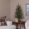 Celebrations 3 ft. Slim LED 50 ct Skinny Cashmere Table Top Color Changing Christmas Tree 24-01011A - alternate 7