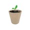 Nk Seed Starting Peat Pot 15 Cells 3in H X 3in W X 3in L Brown, 15PK FR312B - alternate 7