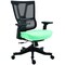We'Re It Moov Series Flex Mesh Back, Multifunction Task Chair including Adjustable Arms, Aqua Green Seat EM5325-AQUA - alternate 1