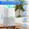 Edendirect 0.95 pt. 160 sq. ft. with Bucket Dehumidifier in White with Sleep Mode, 24H Timer, 7-Color Top Light ZRD3-1 - alternate 6