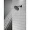 Delta Universal Showering Components Single-Setting Raincan Shower Head 52433-BL - alternate 5