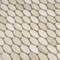 Apollo Tile Beige 11x12 Wooden Grey Marble Polished Floor and Wall Mosaic Tile 4.51 sqft/case, 5PK APLSV88OV1A - alternate 8