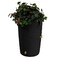 Good Ideas Impressions Palm 50 Gallon Rain Saver - Black IMP-L50-BLK - alternate 1