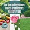 Maggies Farm 24 Oz. Ready To Use Trigger Spray Vegetable Garden Insect & Disease Control MVID024 - alternate 3