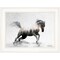 Homeroots Running White Stallion 1 White Framed Print Wall Art 405084 - alternate 1