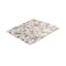 Apollo Tile Concha 11.8 in. x 11.8 in. Polished White, Beige Shell, Mother of Pearl Mosaic Wall Tile, 20PK APLSMA88SQ01A - alternate 5
