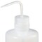 Nalgene Wash Bottle, Plastic, Colorless, PK12 2401-1000 - alternate 3