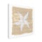 Trademark Fine Art Outdoor Canvas Art - Yvette St. Amant 'Soft Sea Starfish' Wall Art for Patios, or Gardens WAP32527-OC1414WR - alternate 1