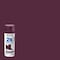Rust-Oleum Spray Paint, Aubergine, Satin, Solvent, 12 Oz 257419 - alternate 6