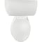 Briggs AltimaMAX White Round 1.28 GPF Toilet Express 7087 130 - alternate 3