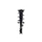 Fcs Struts Suspension Strut And Coil Spring Assembly 1334466R - alternate 1