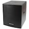 Blastking 15-in 1000 Watts Powered Subwoofer BPS15II - alternate 6