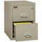Fireking 2 Drawer, 2 Hr Fire & Impact Rated, Vertical, 31" depth Letter Pewter 2-1929-2PE - alternate 3