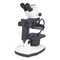Motic Instruments Usa GM-171 Trinocular Stereo Standard Package 1100200600852 - alternate 1